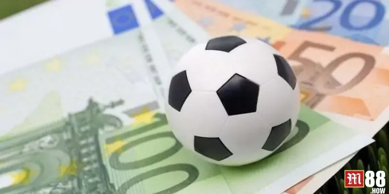 Cách xem tỷ lệ cá cược bóng đá M88 cho người mới Cách xem tỷ lệ cá cược bóng đá M88 cho người mới