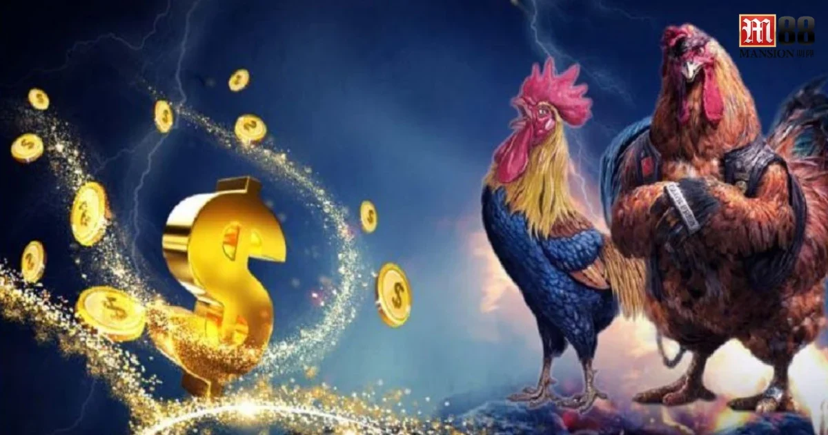 Trải Nghiệm Đá Gà M88 Trực Tuyến – Kịch Tính Như Sàn Đấu Thực 4 Tham gia vào cộng đồng đá gà cũng là một cách hay để nâng cao kinh nghiệm và kiến thức