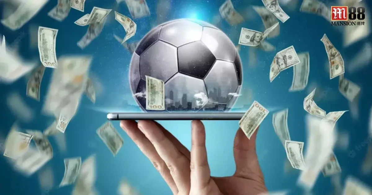 Quần vợt là một môn thể thao ưa thích của nhiều người, đặc biệt là khi các giải Grand Slam diễn ra